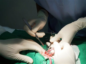 Cirurgia de tecidos moles